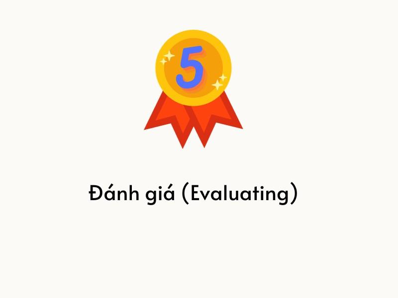 Cấp độ 5 Đánh giá