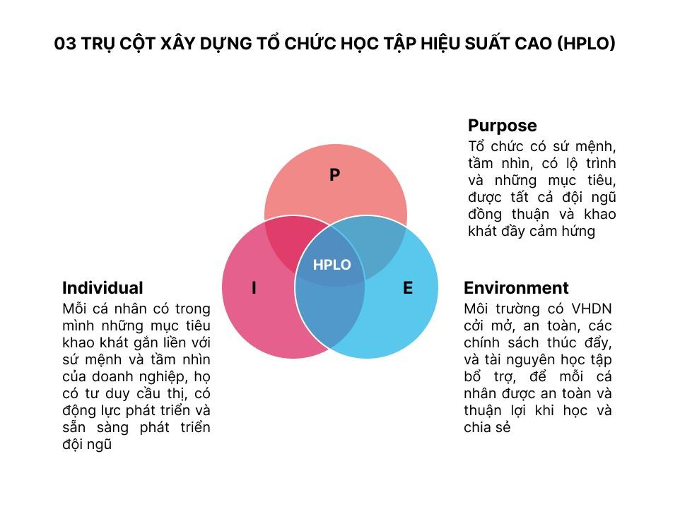 Chú trọng phát triển con người - Trang Huy Logistics tin tưởng lựa chọn giải pháp Gitiho