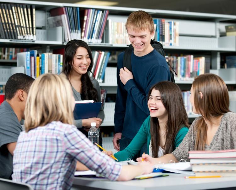 Xây dựng văn hóa học tập trong doanh nghiệp nên bắt đầu từ đâu?