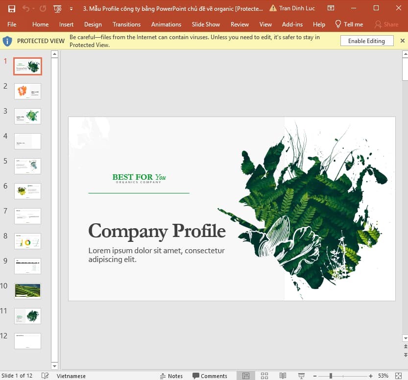 mẫu profile công ty bằng Powerpoint 3