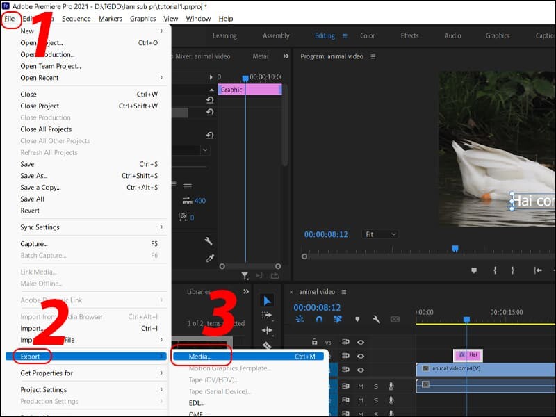 Cách chèn chữ trong Adobe Premiere 7