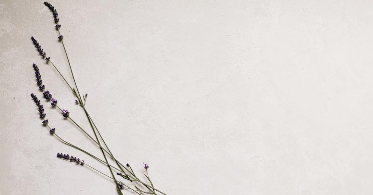 Hình nền powerpoint hoa 15