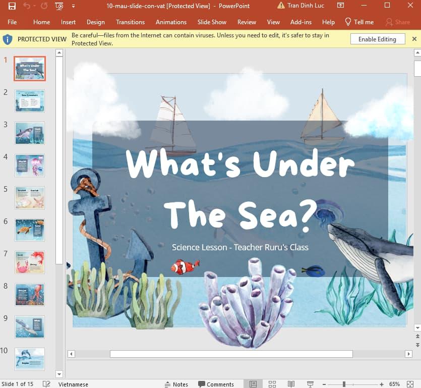 mẫu slide động vật 10