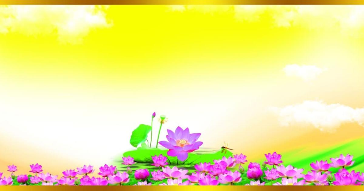 background công đoàn 8