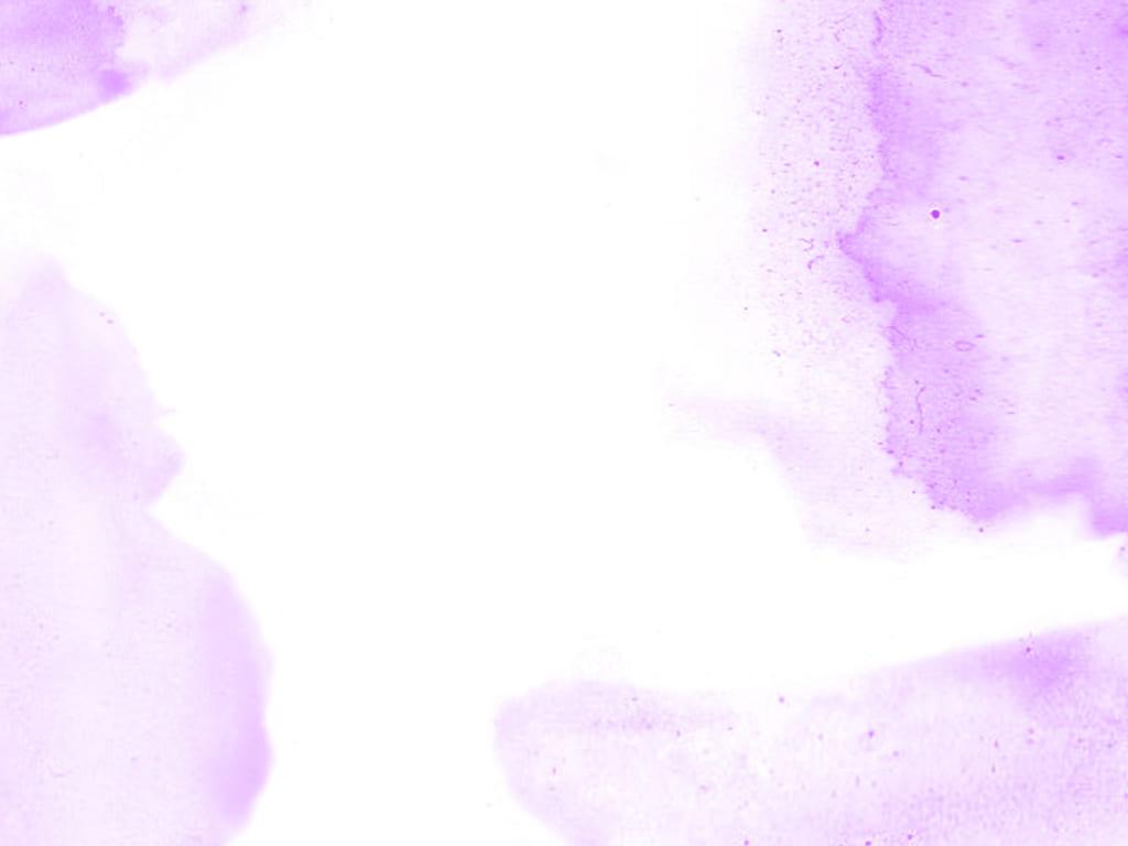 hình nền Powerpoint màu tím 19