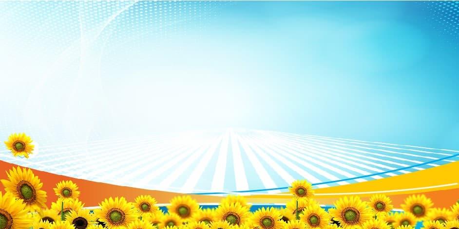 background công đoàn 7