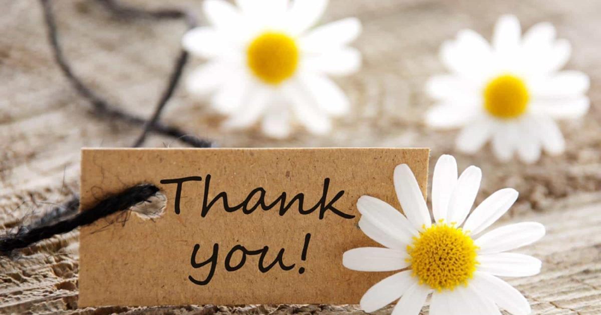 hình nền powerpoint cảm ơn cuối slide 48