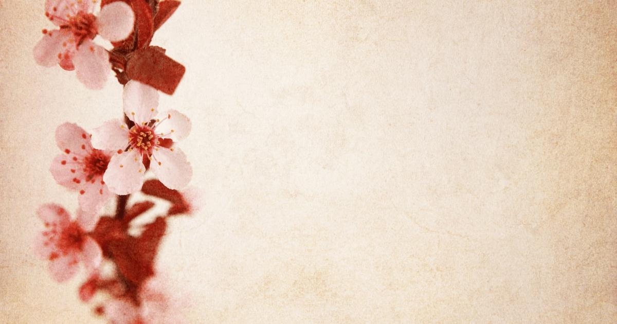 background Powerpoint Nhật Bản 6