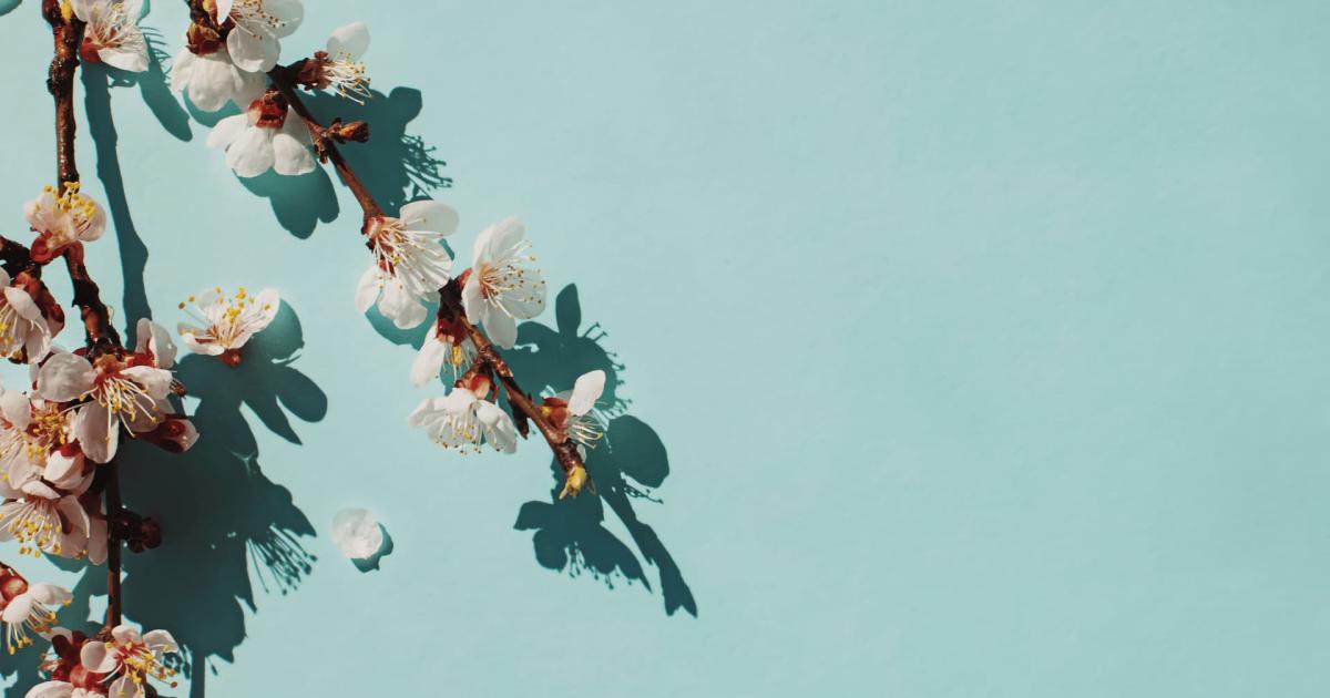 background Powerpoint Nhật Bản 4