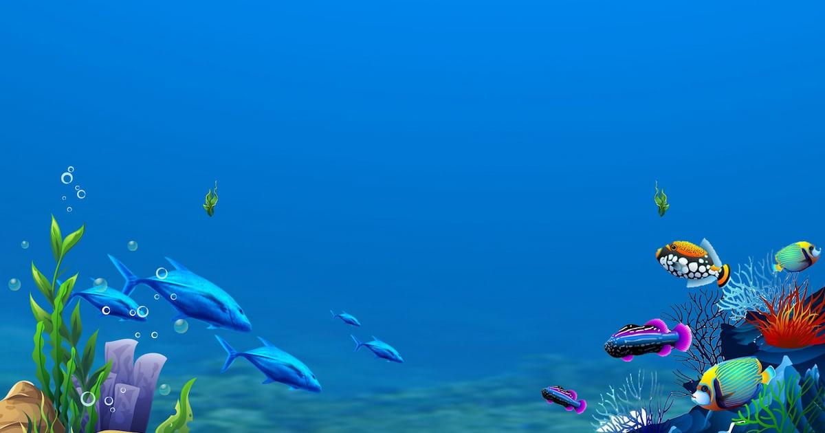 hình nền Powerpoint biển 5