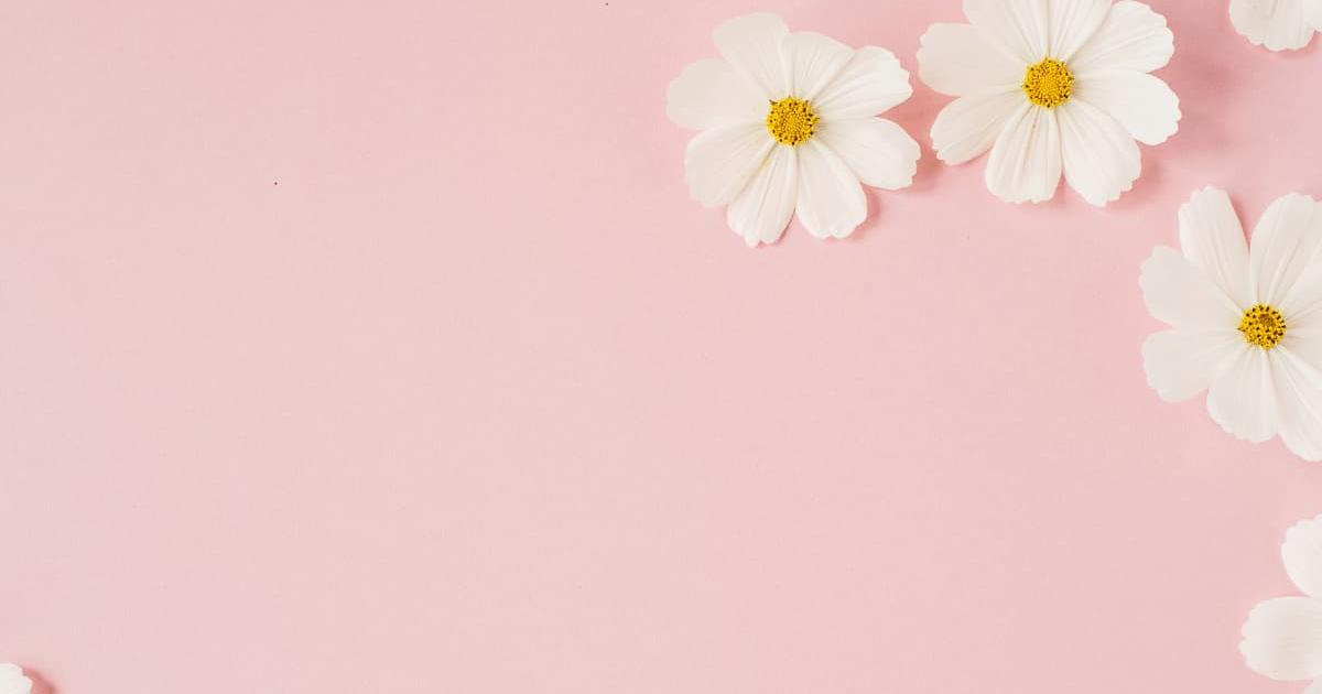 Hình nền powerpoint hoa 17