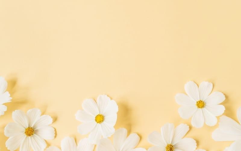 hình nền Powerpoint màu vàng nhạt 14