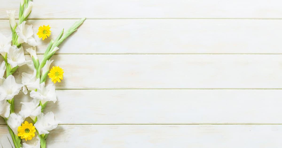 Hình nền powerpoint hoa 5