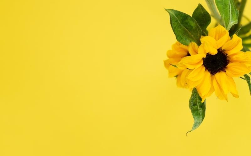 hình nền Powerpoint màu vàng nhạt 11