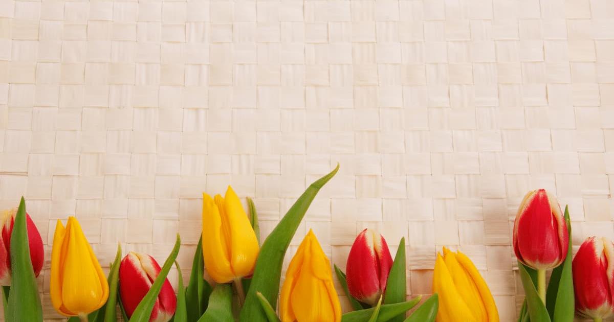 Hình nền powerpoint hoa 10