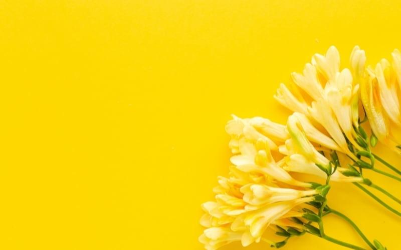 hình nền Powerpoint màu vàng nhạt 10