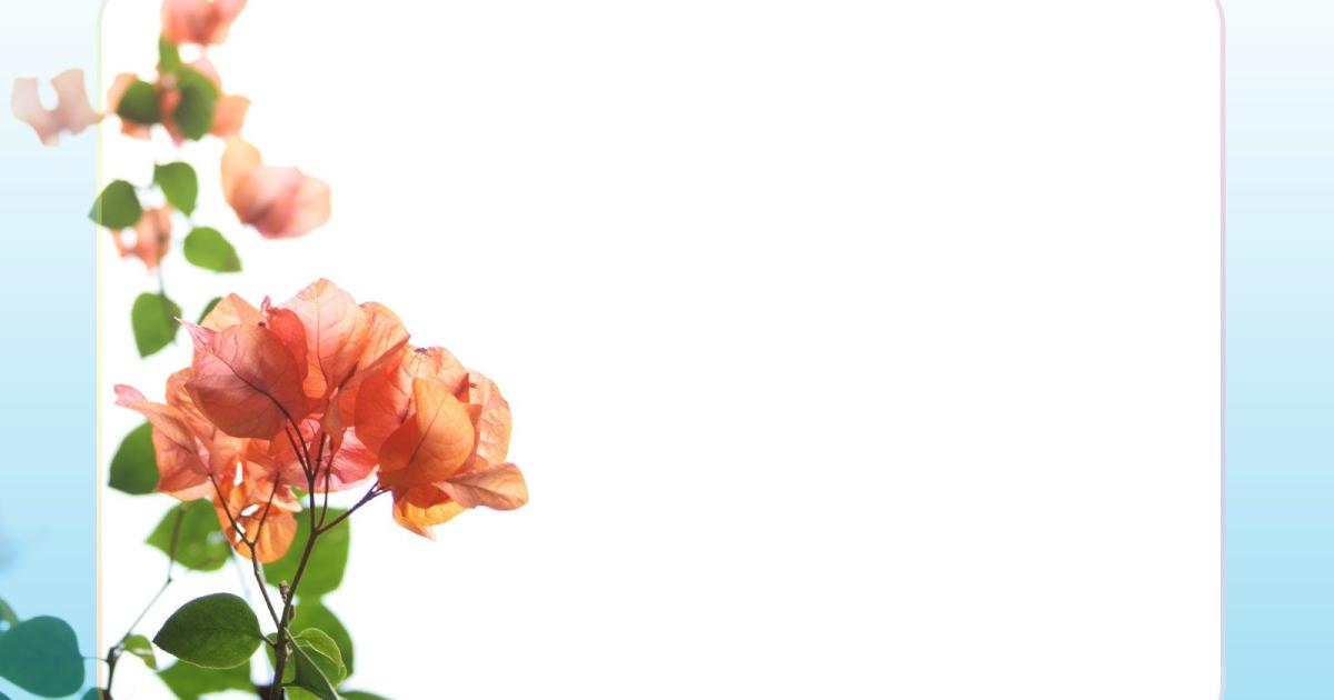 khung powerpoint đẹp 1