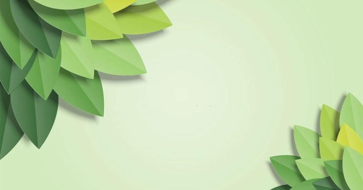 nền Powerpoint xanh lá cây 8