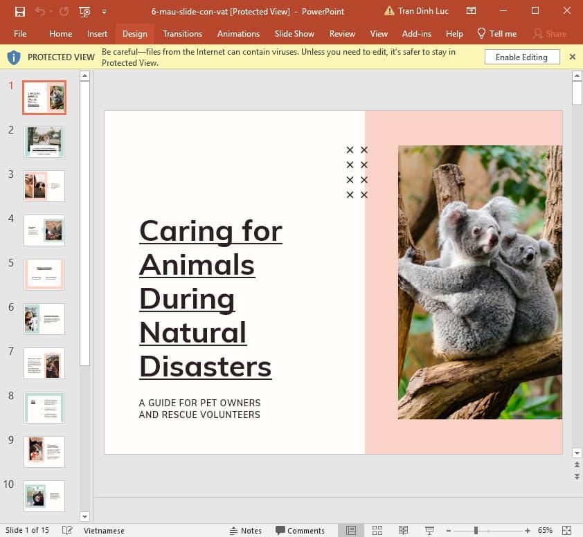 mẫu slide động vật 6
