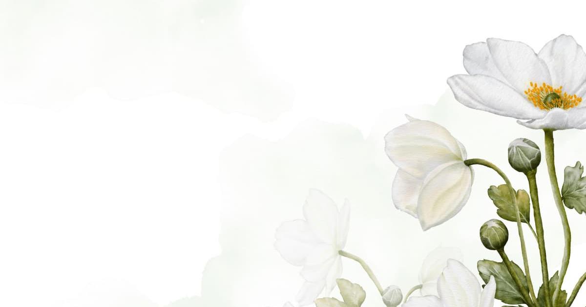 Hình nền powerpoint hoa 14