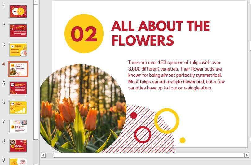 Powerpoint mùa xuân 9