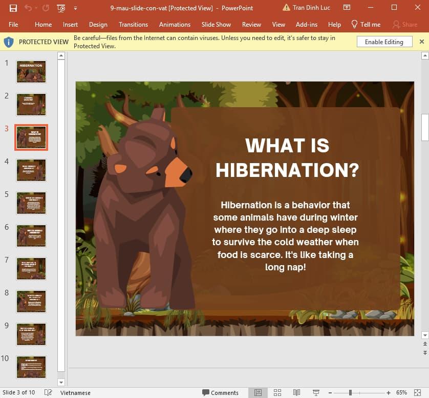 mẫu slide động vật 9