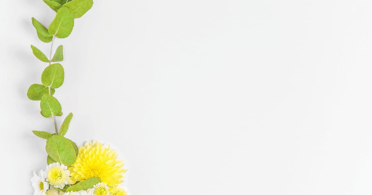 Hình nền powerpoint hoa 2