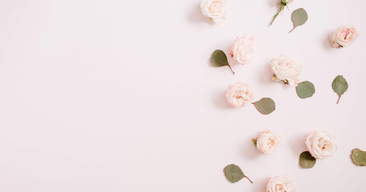 Hình nền powerpoint hoa 1