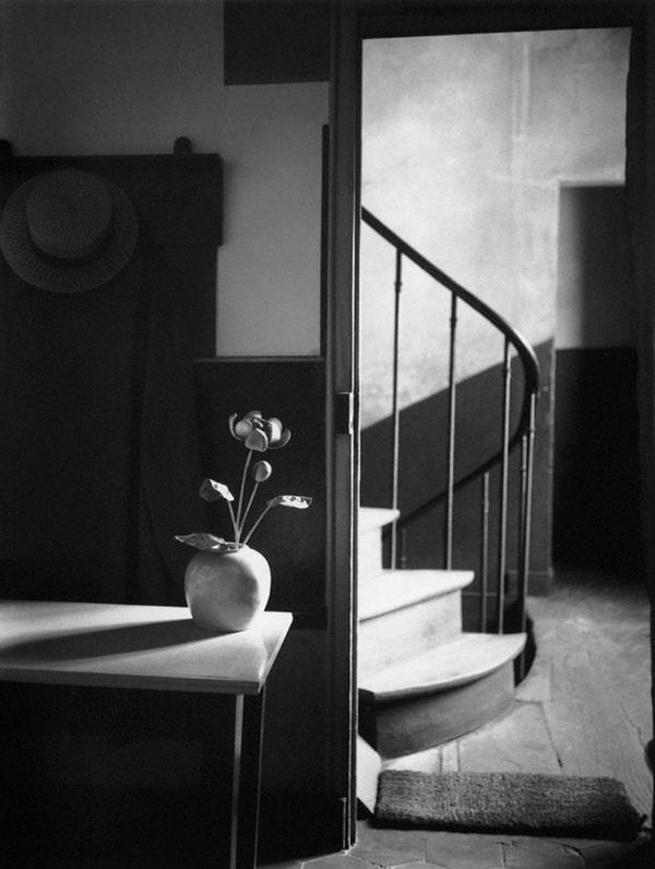 Ảnh chụp tĩnh vật được tìm thấy