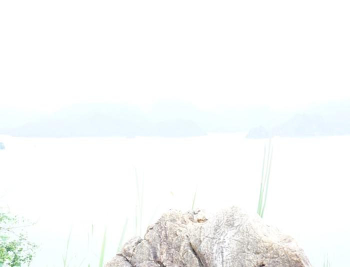 Ảnh phơi sáng quá mức