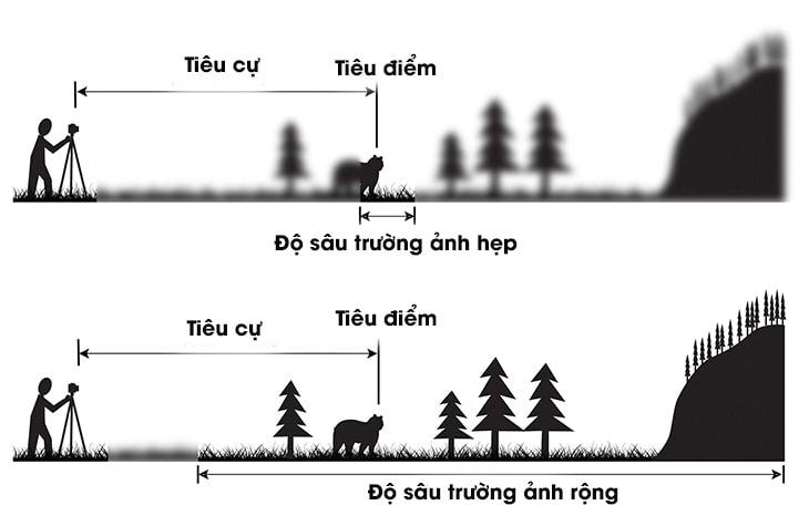Các thông số tiêu cự