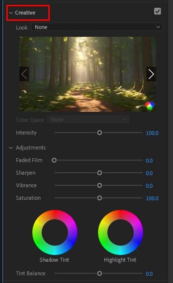 Cách chỉnh màu video trong Premiere 4