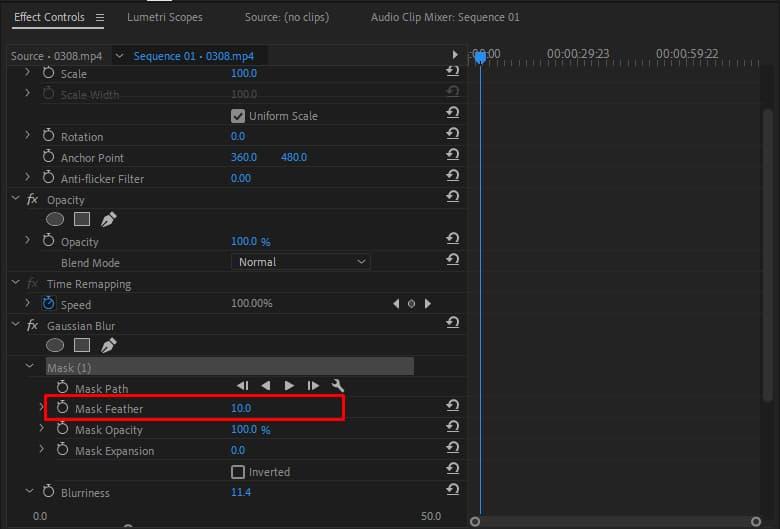Cách che mặt trong Premiere Pro 10