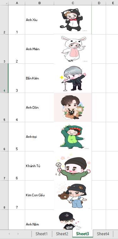 Ảnh đã được chèn tự động vừa vào ô trong Excel