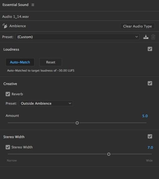Chỉnh âm thanh nâng cao trong Adobe Premiere 12
