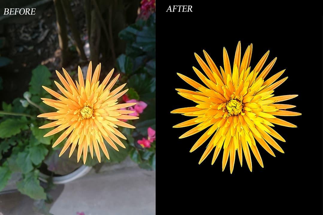 Chụp ảnh Lowkey là gì? Cách tạo ra các bức ảnh ảo diệu từ ánh sáng tối