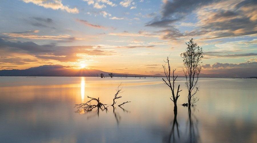 Chụp ảnh phơi sáng ban ngày