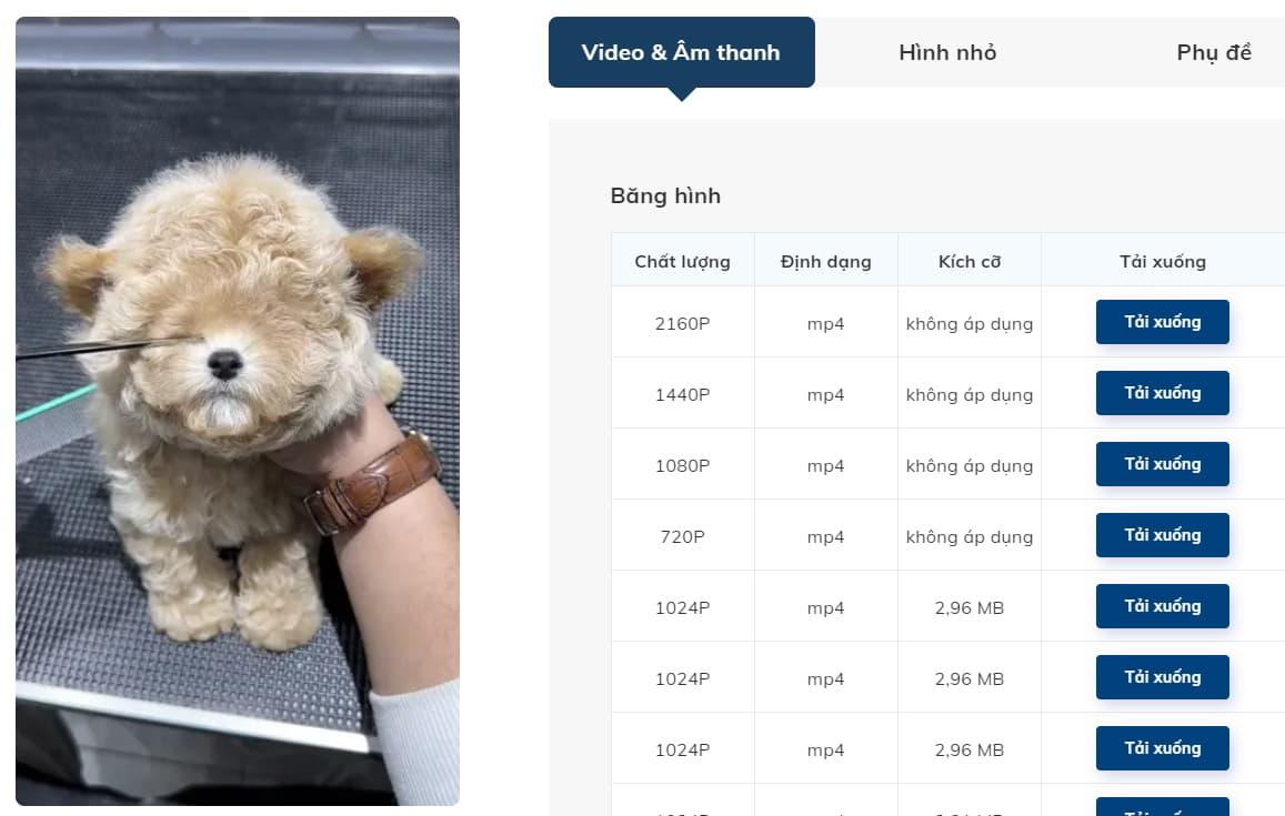 chuyển video Tiktok sang MP4 bằng download4.cc 2