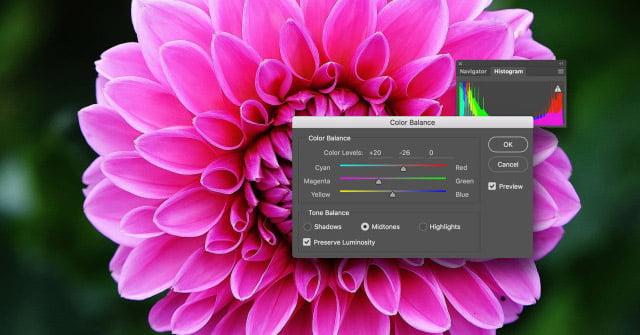 Điều chỉnh độ tương phản ảnh macro