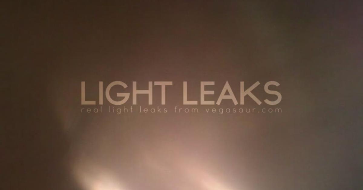 Light Leaks Overlay - Vegasaur