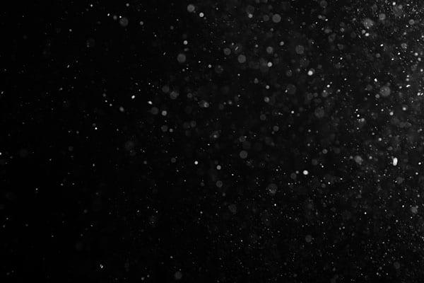 Organic Particles - Vegasaur