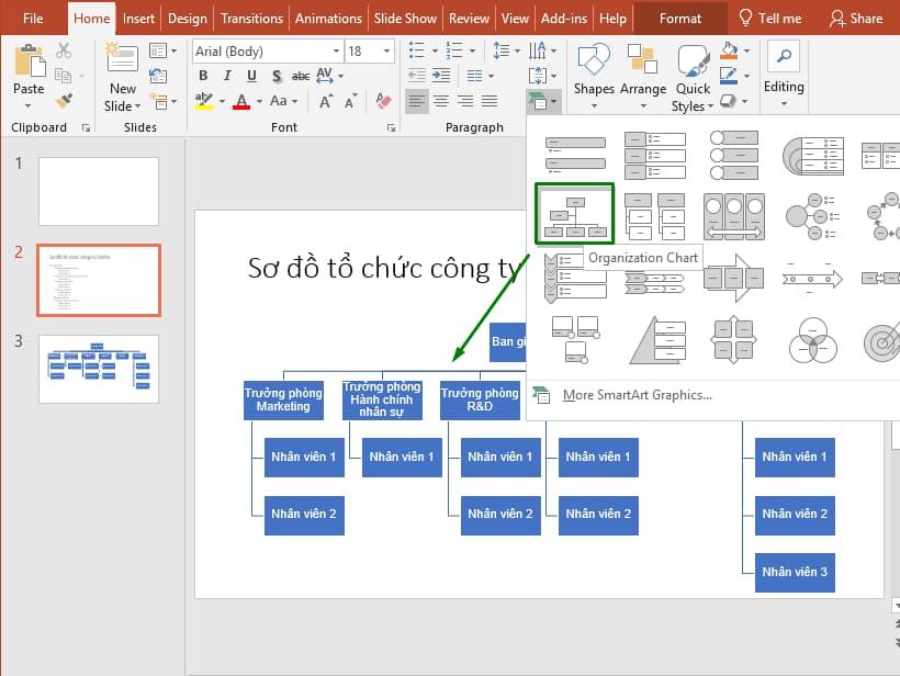 Hướng dẫn vẽ sơ đồ tổ chức trong Powerpoint đơn giản 5