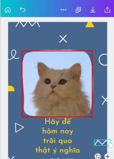 Kéo hình ảnh muốn cắt vào khung đã chọn