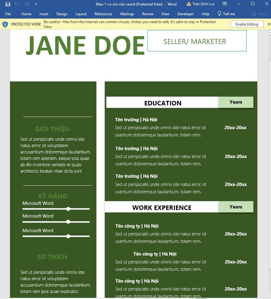 mẫu 1 CV xin việc file Word 