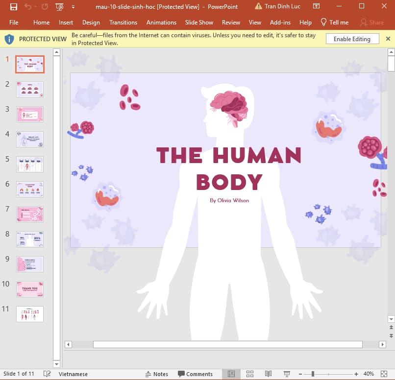 Tải ngay 50+ slide Powerpoint sinh học giúp bạn có bài thuyết trình đạt điểm cao