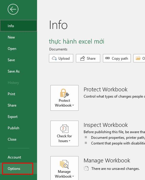 Tùy chọn Options trong Excel