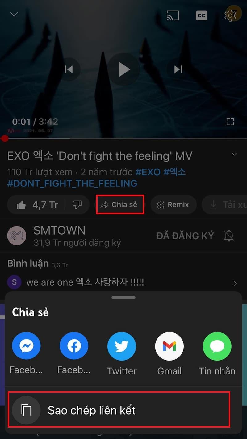 Sao chép liên kết video muốn lấy nhạc trên youtube