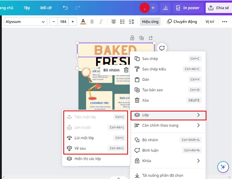 Sắp xếp các thành phần, bố cục trong poster
