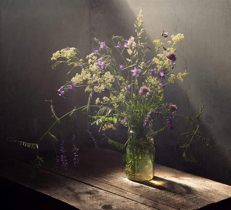 Sử dụng ánh sáng tự nhiên để chụp ảnh tĩnh vật