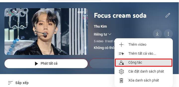 Người xem có thể thêm video vào danh sách phát không?